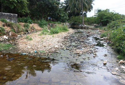Environmental protection plan 2012 focuses on environmental pollution solution