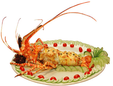 Lobster price drops to VND2.2million/kg