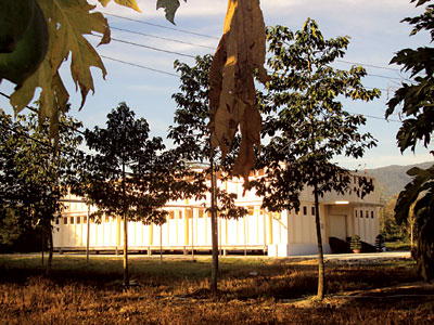 Close-up of Vietnam’s first vaccine factory