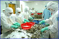 Two-month fishery export turnover at USD51m