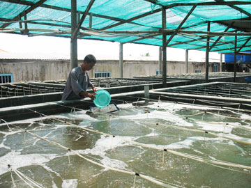 Fishery aquaculture hits 2,850 tons