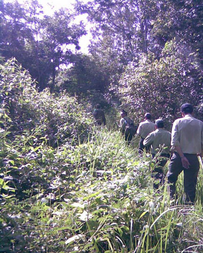 Forest fire prevention effort