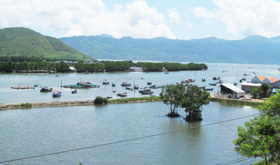 Mangrove forest community tourism expects to bring huge benefits to locals