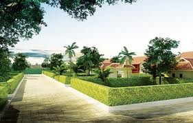 VND137b poured on rural development program