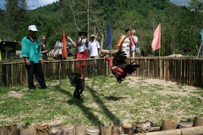 Yang Bay Tourist Park receives large number of Russian visitors