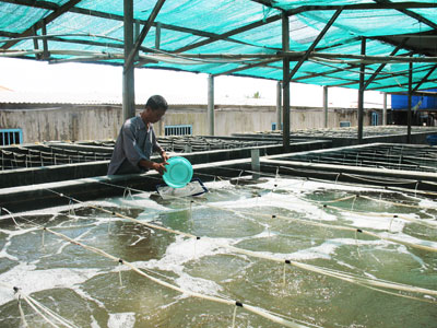 Aquaculture production hits 4,171 tons