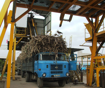 Industrial Development Index rises by 11.3%