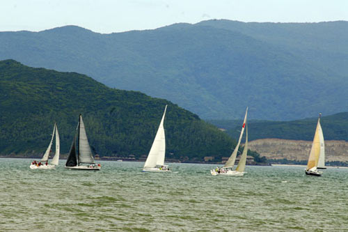 Nha Trang to host sailboat racing
