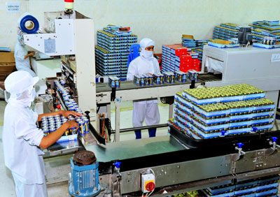 Khanh Hoa Salangane Nest Company strives for global reach