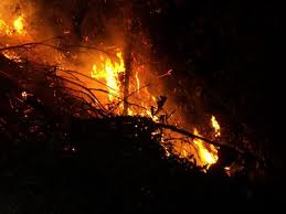 Huge wildfire hits Van Ninh