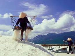 Salt output expected to reach 20,700 tons