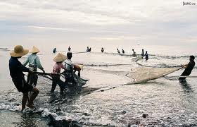 Fisheries yield hits 63,125 tons