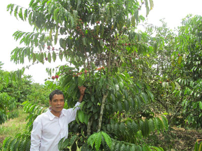 Ethnic minority people learn new farming practice