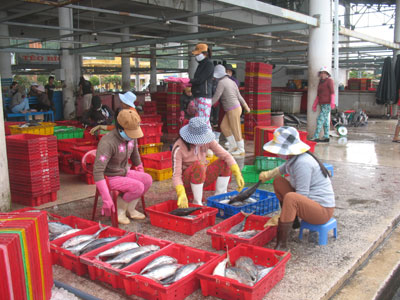Khanh Hoa to be built as fishing center of Southern Central