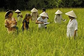 VND150 million raised for Cam Ranh Farmers’ Fund