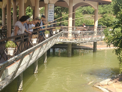 Dapping crocodiles at Yang Bay Tourist Area