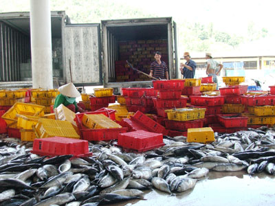 Seafood at Hon Ro Port