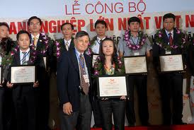 Khanh Hoa: 2 businesses listed among top 500 Vietnamese largest businesses