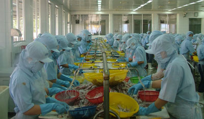 Export turnover exceeds USD1b for first year