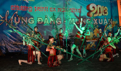 Numerous interesting cultural activities for Lunar New Year Festival