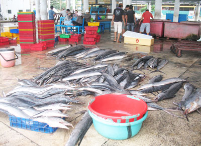 Fishery export turnover hits USD30m in Jan.