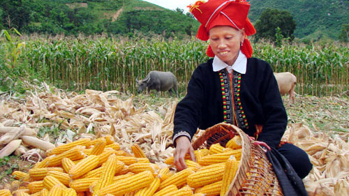 Marginally poor households access credit loans