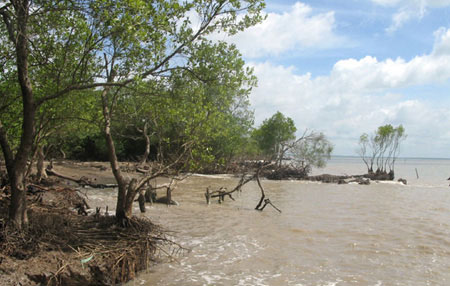 Climate change adaptation support