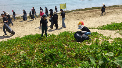 AMIANA Resort staff join clean-up effort