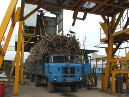 934,000 tons of sugarcane pressed