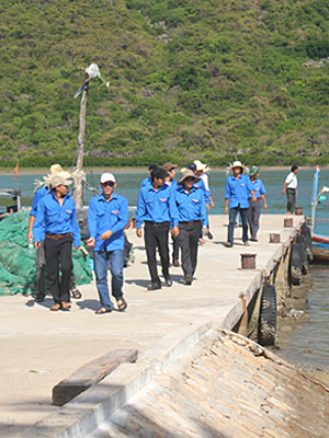 More 2 hectares of mangrove forest planted in Dam Bay Island, Nha Trang
