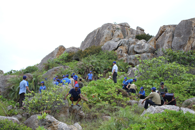 Covering salangane island with green trees