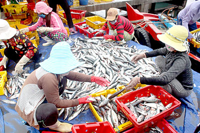 Khanh Hoa intensifies to control seafood smuggling