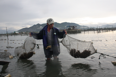 Cottonii farming brings high profit