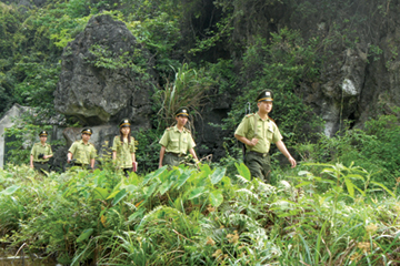 Forest police projected to established