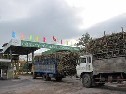 10 Vietnamese companies listed “Best Under a Billion”