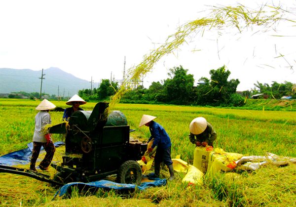 VND430b invested in agriculture and rural areas of Van Ninh for 5 years