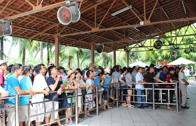 Tourists lining up for Vinpearl Land