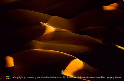 Vietnamese photographer wins HIPA Award