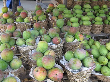 Building trademark for fruits in Khanh Hoa