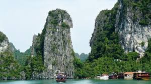 Raising awareness on protection of nature in green heritage week