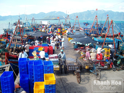 Vinh Luong fishing port busy with good harvest