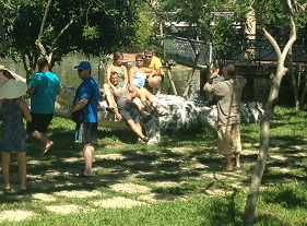 Foreign tourists at Yang Bay tourist area.