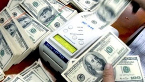 Overseas remittances to Vietnam in 2013 may reach USD11b