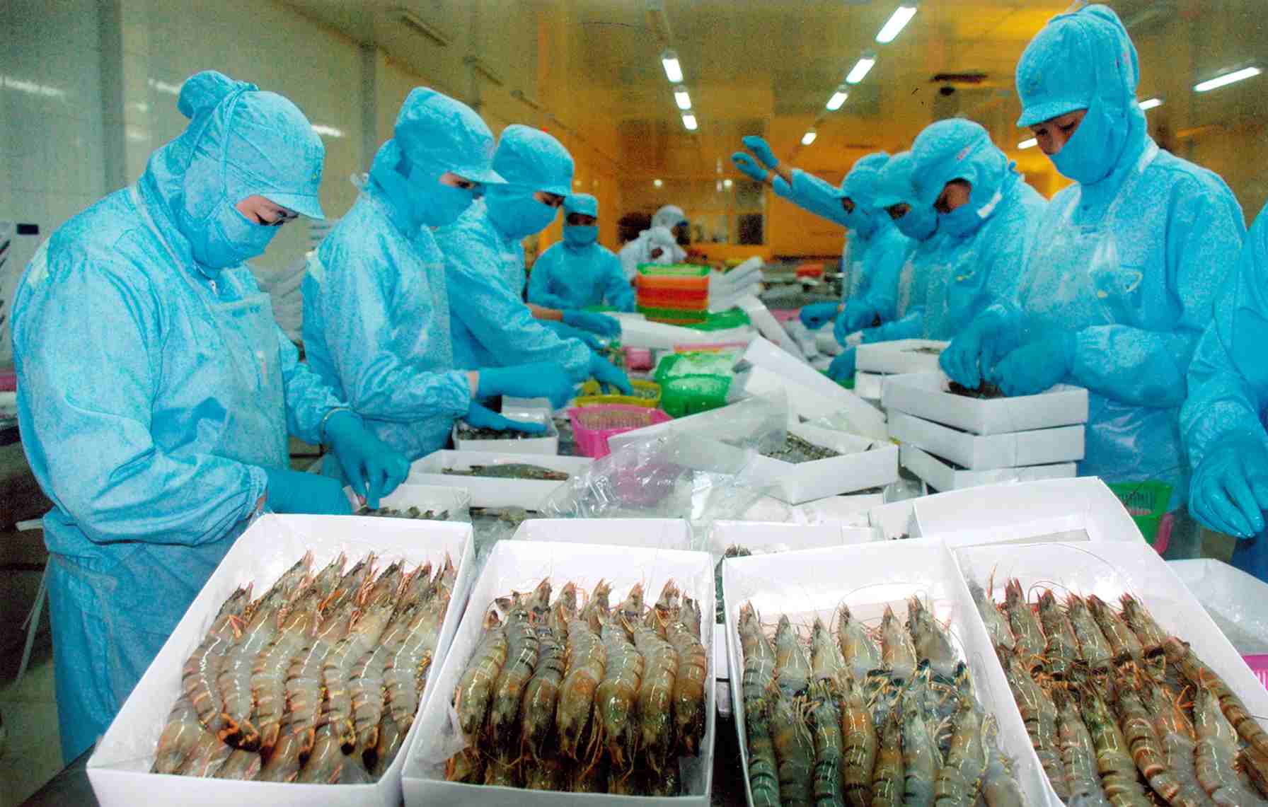 Fishery export turnover hits USD330m