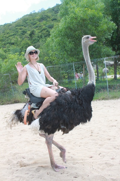 Tourists riding ostrich in Hoa Lan Stream tourist area.