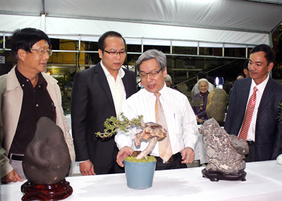 Spring Flower Festival 2014 in Nha Trang City