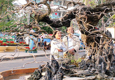 Spring Flower Festival 2014: impressive artistic space