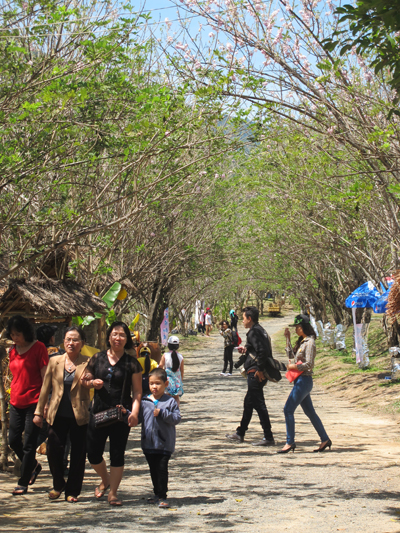 Du khách tham quan KDL Waterland Suối Thạch Lâm vào mùng 2 Tết.