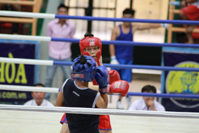 New impetus for Khanh Hoa boxing