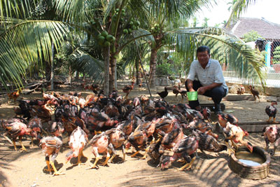 Initial effects of capital supporting for rural production in Khanh Hoa